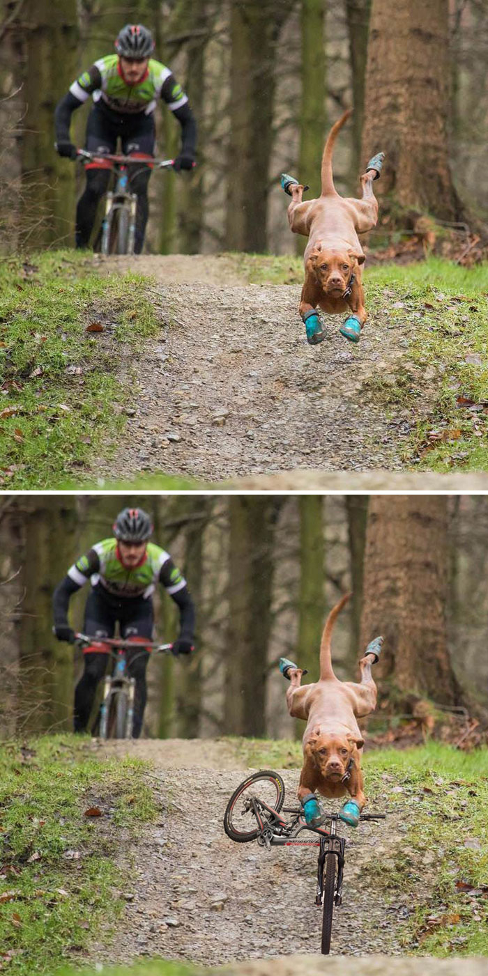 22 gagnants des meilleures batailles de Photoshop de tous les temps (nouvelles images)