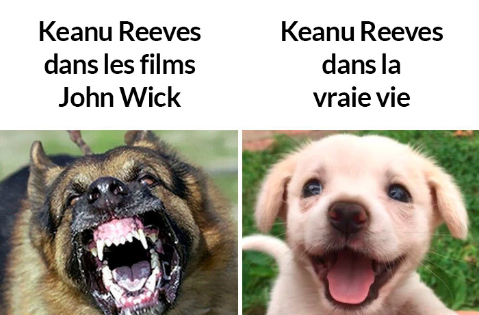 Keanu Reeves est vraiment canon et voici 11 blagues sur lui