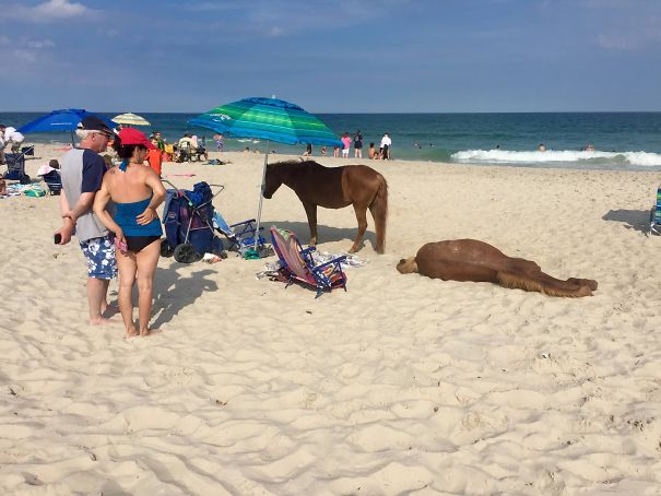 23 fois où des gens ont vu de curieuses choses à la plage et n’ont pu s’empêcher de les partager