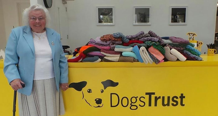 Cette femme de 89 ans a tricoté 450 couvertures pour les chiens de refuge et c’est adorable