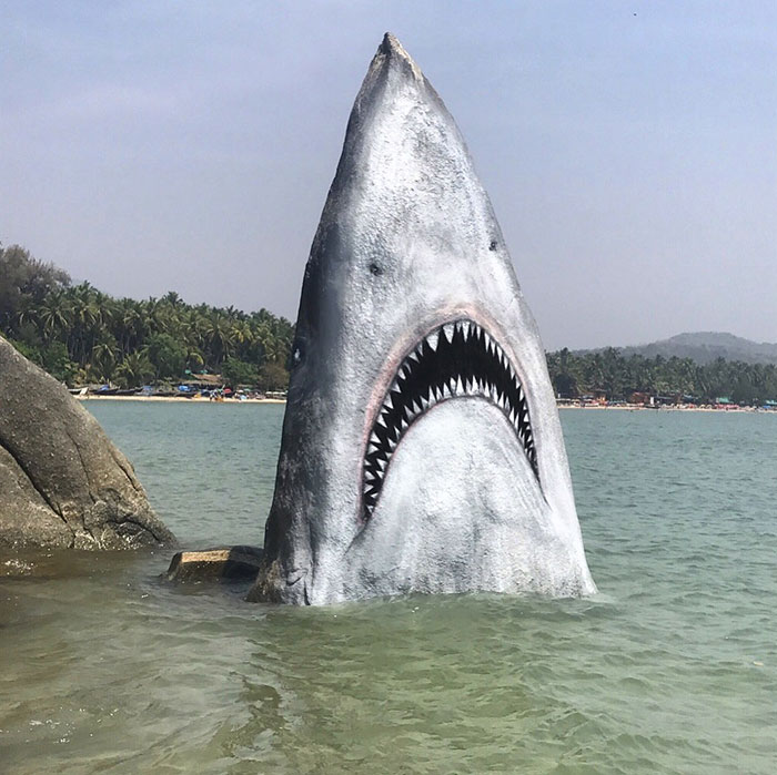 Un graffeur a transformé un rocher de plage en un grand requin blanc et les gens publient leurs meilleures photos avec lui