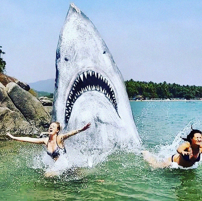 Un graffeur a transformé un rocher de plage en un grand requin blanc et les gens publient leurs meilleures photos avec lui