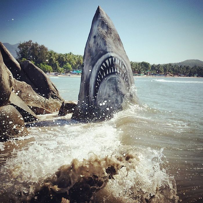 Un graffeur a transformé un rocher de plage en un grand requin blanc et les gens publient leurs meilleures photos avec lui