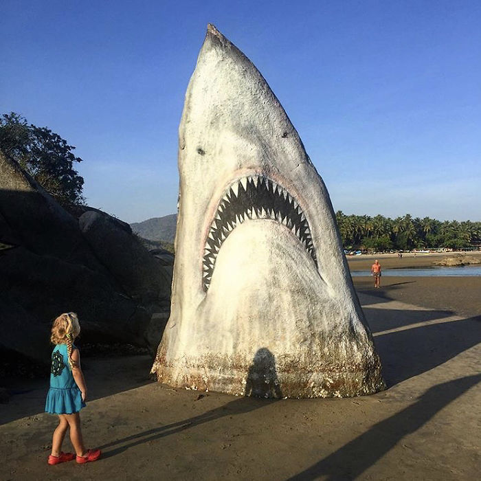 Un graffeur a transformé un rocher de plage en un grand requin blanc et les gens publient leurs meilleures photos avec lui
