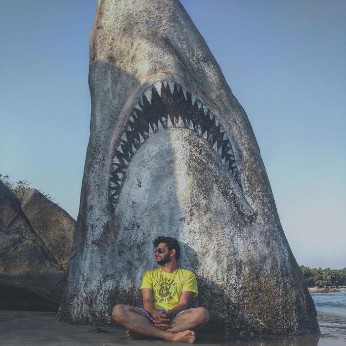 Un graffeur a transformé un rocher de plage en un grand requin blanc et les gens publient leurs meilleures photos avec lui