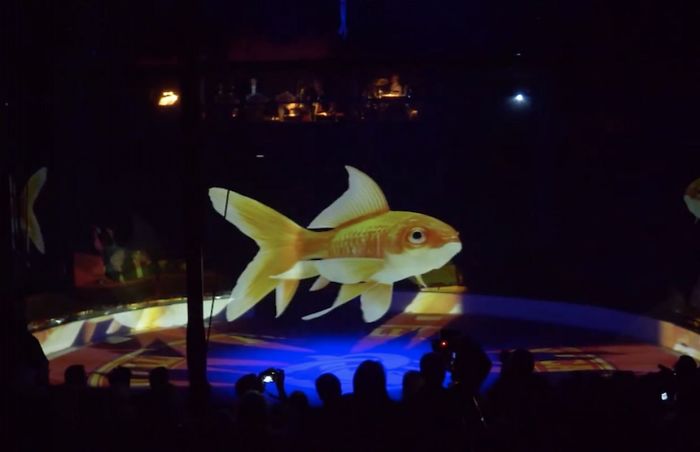 Ce cirque allemand utilise des hologrammes au lieu d’animaux vivants pour une expérience magique sans cruauté