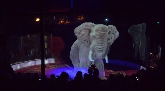 Ce cirque allemand utilise des hologrammes au lieu d’animaux vivants pour une expérience magique sans cruauté
