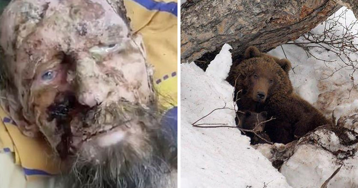 Un homme pris pour une momie a été sauvé de la tanière d’un ours après un mois