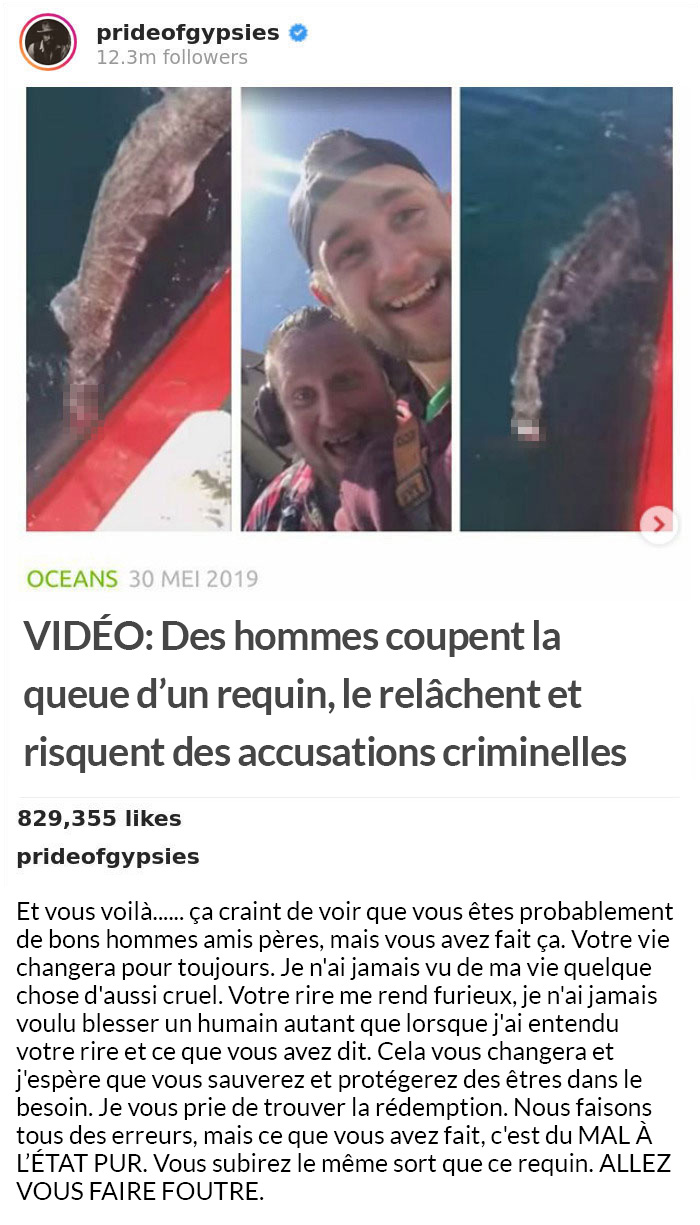 Le message de Jason Momoa à deux pêcheurs qui ont coupé la queue d’un requin et l’ont relâché dans la mer est devenu viral