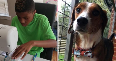 Cet enfant de 12 ans fabrique des noeuds papillon élégants pour aider des chiens et chats de refuge à se trouver une maison