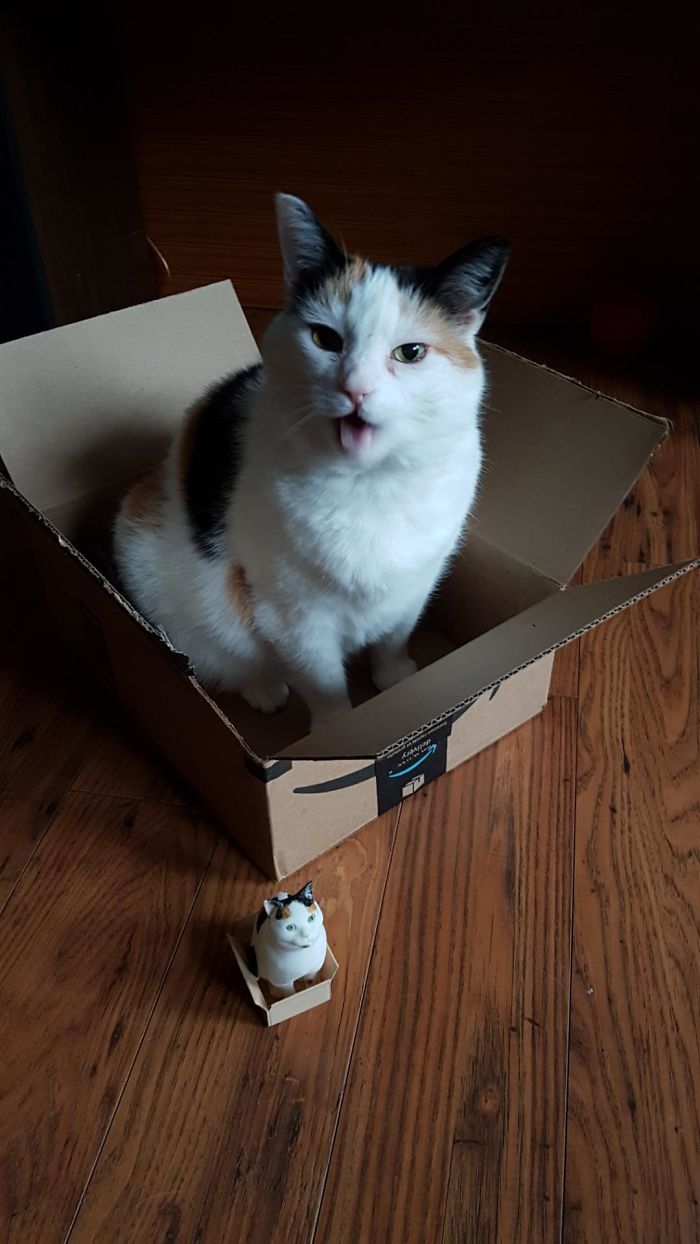 22 Fois Ou Des Gens Ont Utilise Des Imprimantes 3d Pour Creer Des Choses Geniales Ipnoze