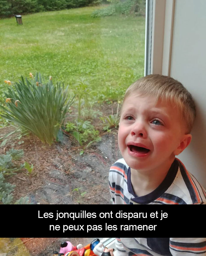 23 Parents Ont Partagé Les Raisons Les Plus Ridicules Pour