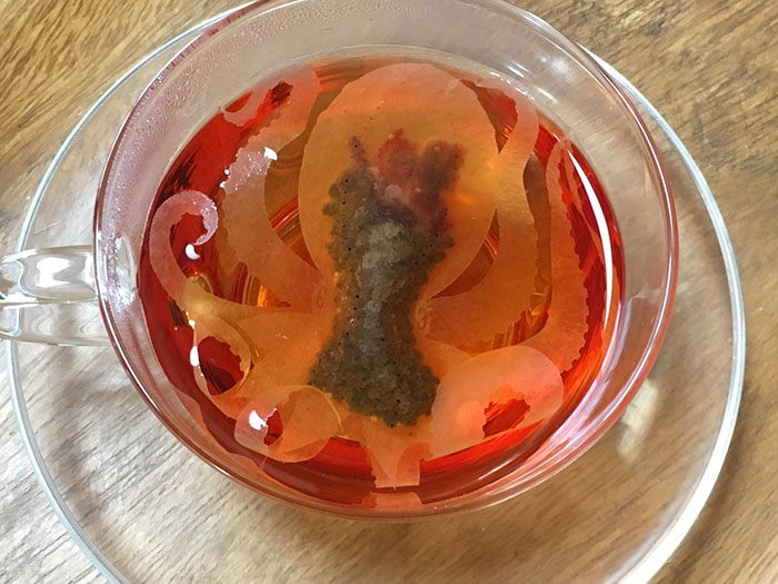 Cette société japonaise crée des sachets de thé de créatures marines qui « prennent vie » dans votre tasse