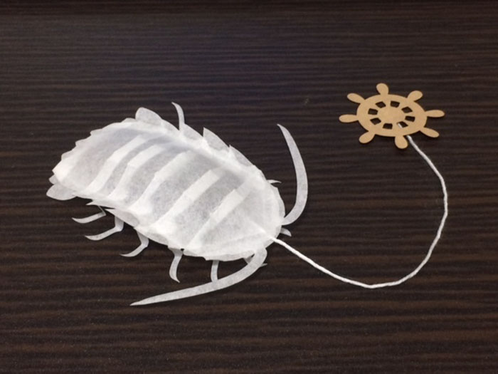 Cette société japonaise crée des sachets de thé de créatures marines qui « prennent vie » dans votre tasse