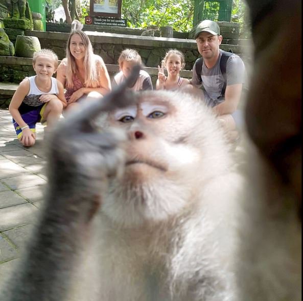 Ce singe a posé pour un selfie avec une famille puis leur a fait un doigt d’honneur