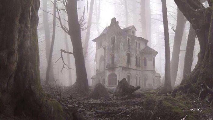 25 fois où des gens ont trouvé quelque chose de bizarre dans la forêt et n’ont pas pu s’empêcher de le partager