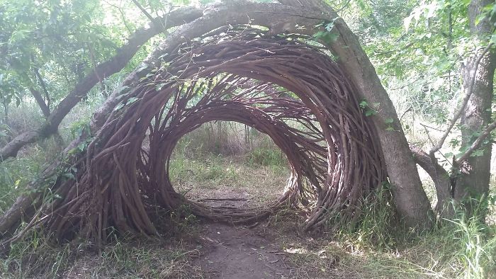 25 fois où des gens ont trouvé quelque chose de bizarre dans la forêt et n’ont pas pu s’empêcher de le partager