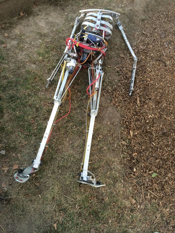 25 fois où des gens ont trouvé quelque chose de bizarre dans la forêt et n’ont pas pu s’empêcher de le partager