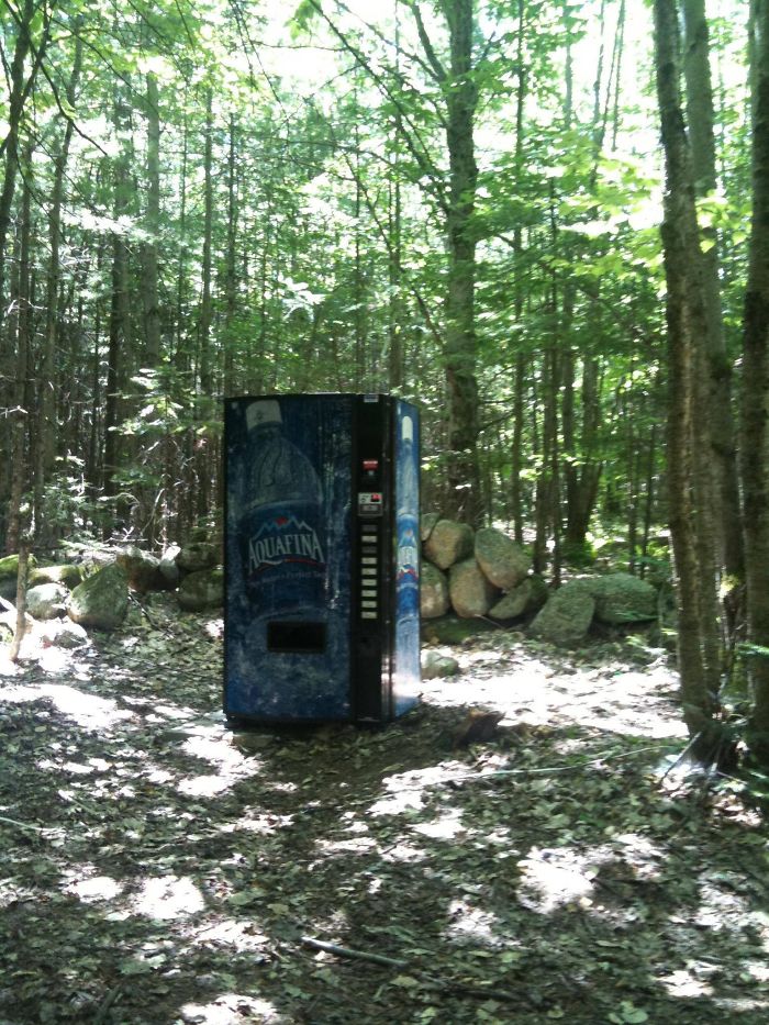 25 fois où des gens ont trouvé quelque chose de bizarre dans la forêt et n’ont pas pu s’empêcher de le partager