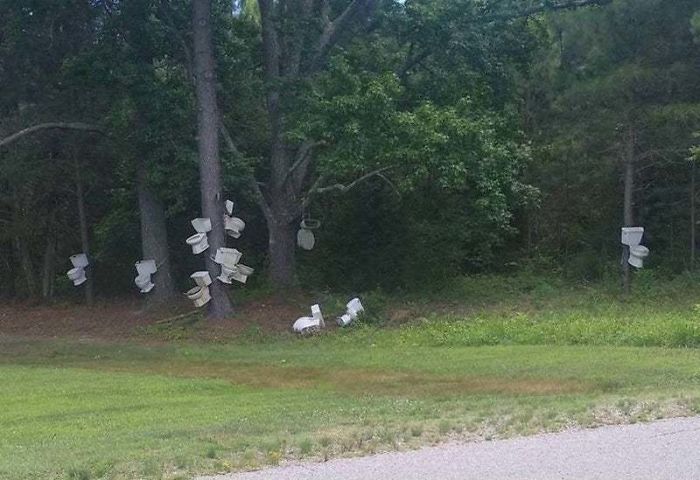 25 fois où des gens ont trouvé quelque chose de bizarre dans la forêt et n’ont pas pu s’empêcher de le partager