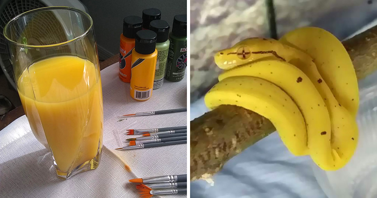 22 fois où des choses non comestibles ressemblaient à de la nourriture délicieuse (nouvelles images)