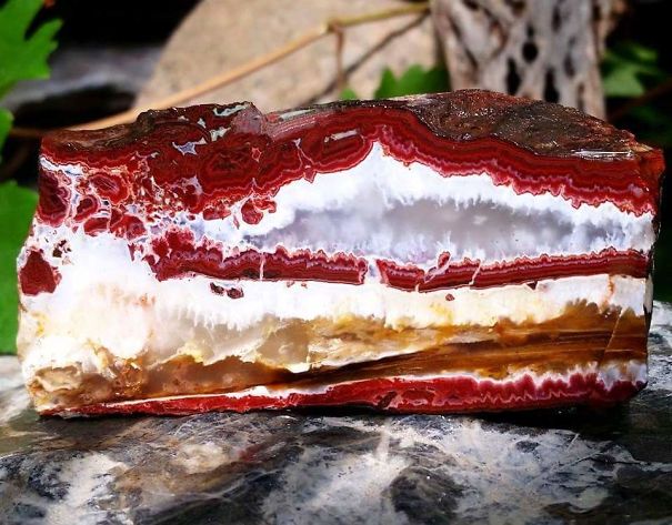 22 fois où des choses non comestibles ressemblaient à de la nourriture délicieuse (nouvelles images)