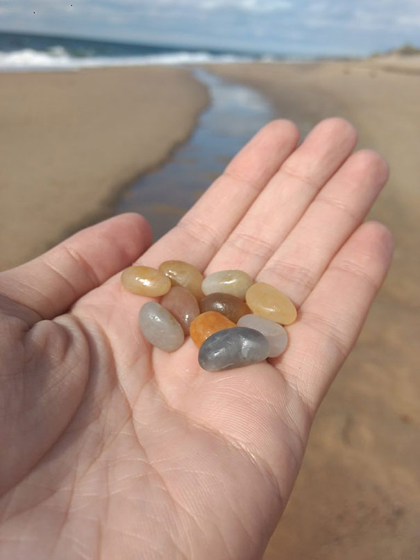 22 fois où des choses non comestibles ressemblaient à de la nourriture délicieuse (nouvelles images)