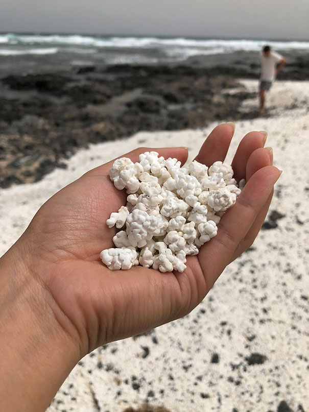 22 fois où des choses non comestibles ressemblaient à de la nourriture délicieuse (nouvelles images)