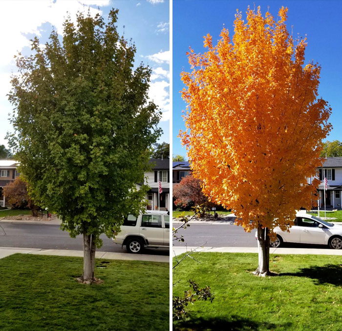 24 images comparatives les plus intéressantes (nouvelles images)