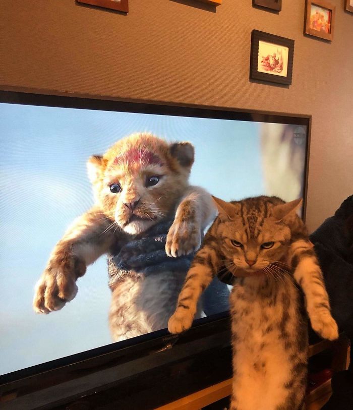 24 images comparatives les plus intéressantes (nouvelles images)
