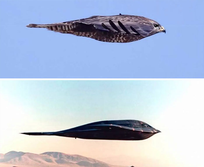 24 images comparatives les plus intéressantes (nouvelles images)