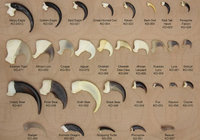 24 images comparatives les plus intéressantes (nouvelles images)