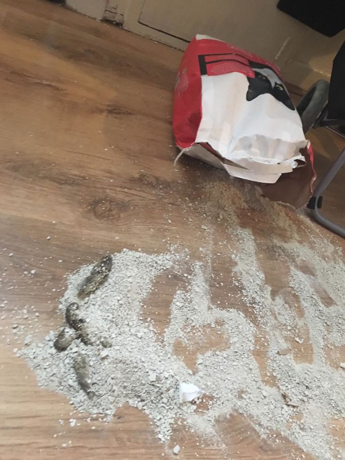 22 personnes qui passent probablement le pire jour de leur vie (nouvelles images)