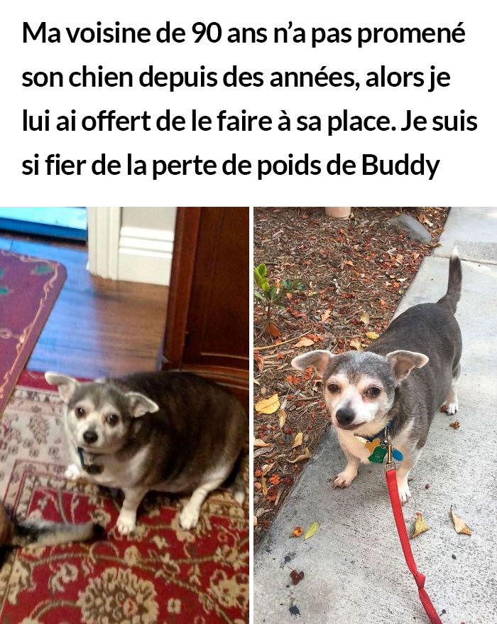 23 photos de chiens avec des messages sympas qui vont égayer ta journée (nouvelles images)