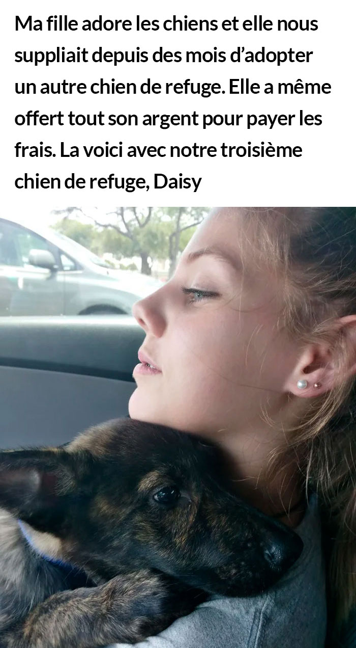 23 photos de chiens avec des messages sympas qui vont égayer ta journée (nouvelles images)