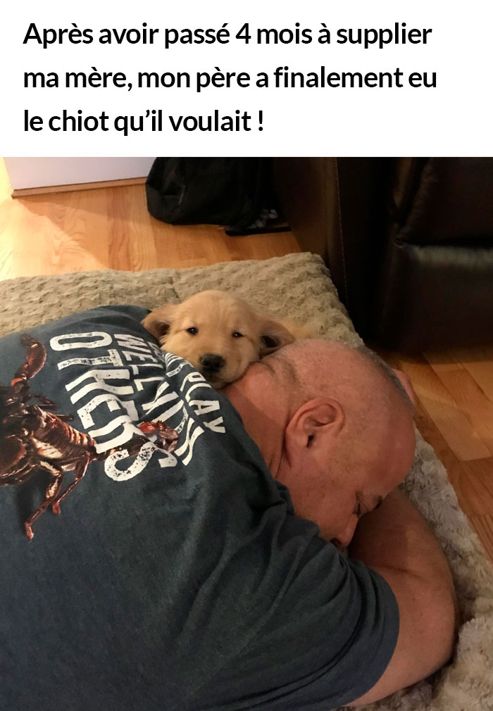 23 photos de chiens avec des messages sympas qui vont égayer ta journée (nouvelles images)