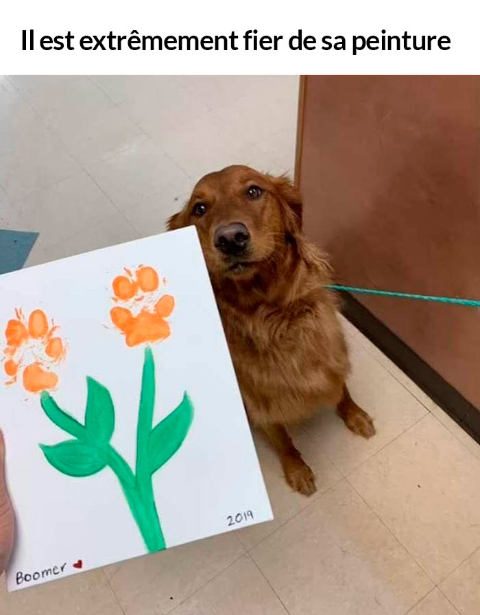 23 photos de chiens avec des messages sympas qui vont égayer ta journée (nouvelles images)