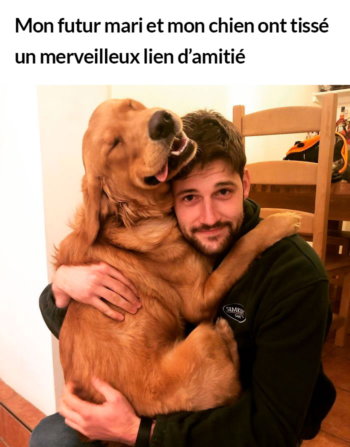 23 photos de chiens avec des messages sympas qui vont égayer ta journée (nouvelles images)
