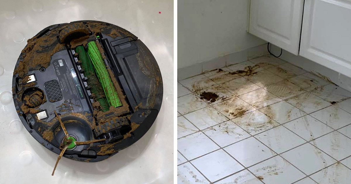 Le Roomba d’un homme a roulé dans du caca de chien et a sali toute sa maison