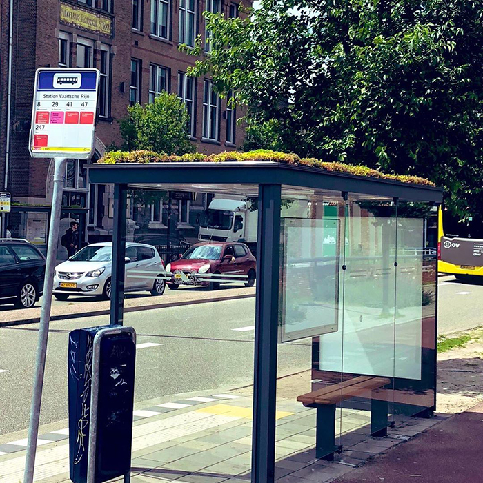 Les Pays-Bas ont transformé 316 arrêts de bus en arrêts pour les abeilles
