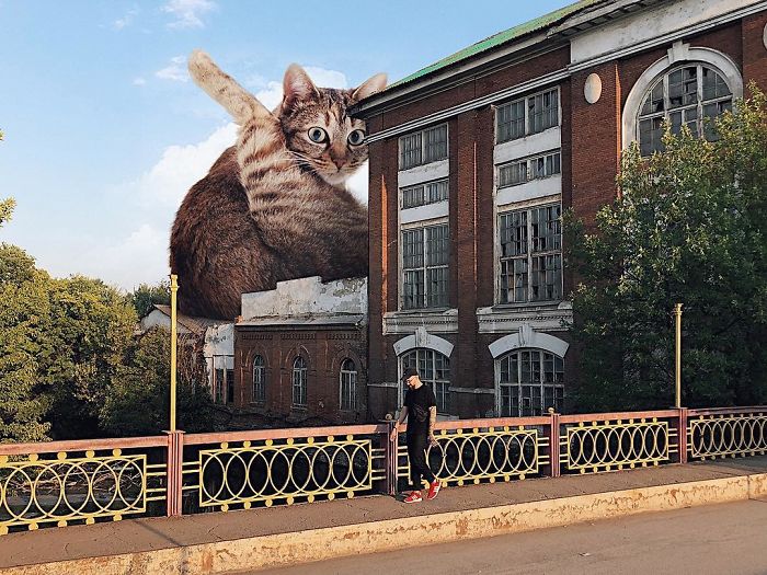 33 images qui montrent à quoi ressemblerait la Terre si les chats étaient énormes