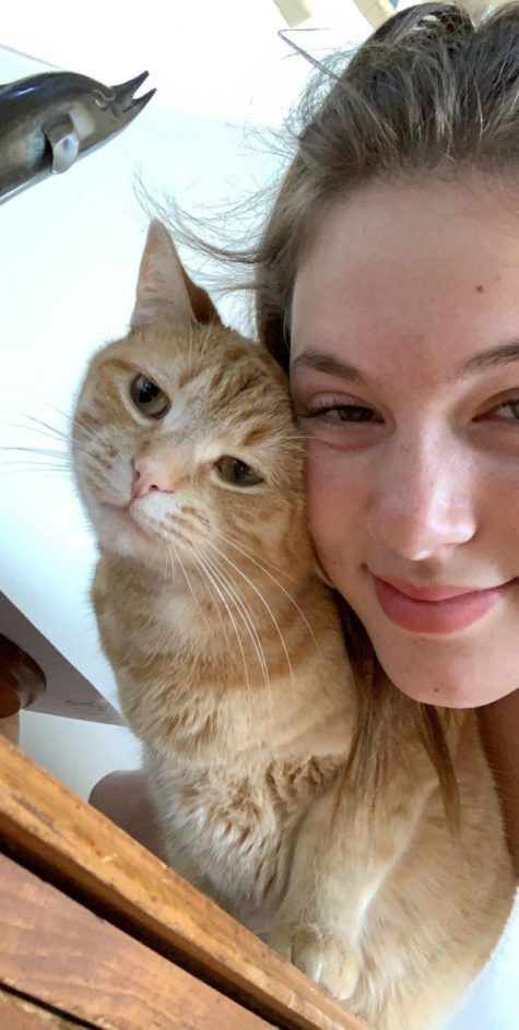 Son Qui Attire Les Chats Tiktok Cette fille de 17 ans a réalisé une vidéo hilarante de son chat qui