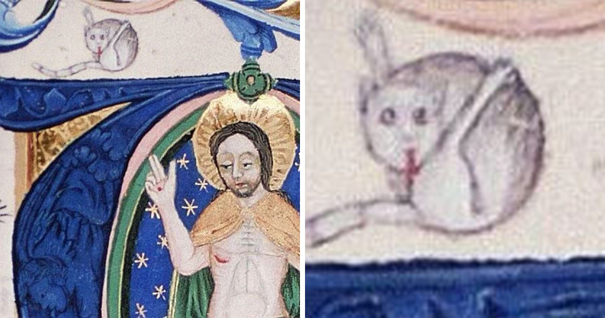 Le Peuple Medieval Etait Apparemment Fascine Par Les Chats Qui Se Lechaient Le Derriere Et Voici 14 Images Comme Preuve Ipnoze