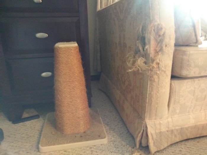 Des gens continuent de publier les choses qui les irritent plus qu’elles ne le devraient (22 nouvelles images)