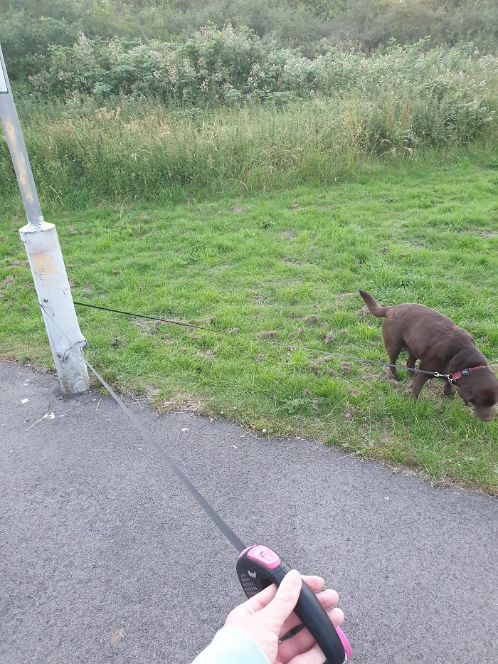 Des gens continuent de publier les choses qui les irritent plus qu’elles ne le devraient (22 nouvelles images)