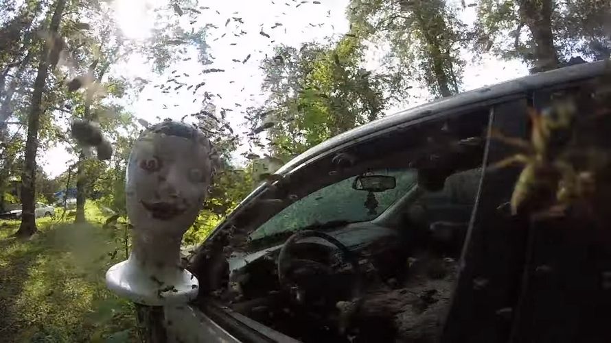 Ce gars a trouvé un énorme nid de guêpes à l’intérieur d’une voiture abandonnée