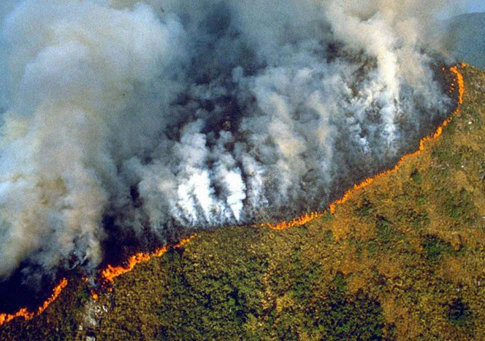 La forêt amazonienne brûle depuis des semaines et la NASA a partagé des photos de l’espace