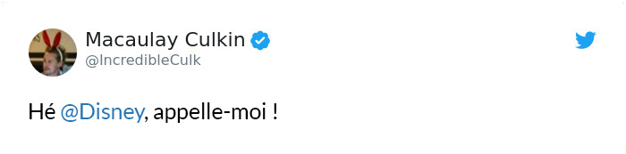 Macaulay Culkin a publié une photo hilarante quand Disney a annoncé qu’ils faisaient un remake de Maman, j’ai raté l’avion