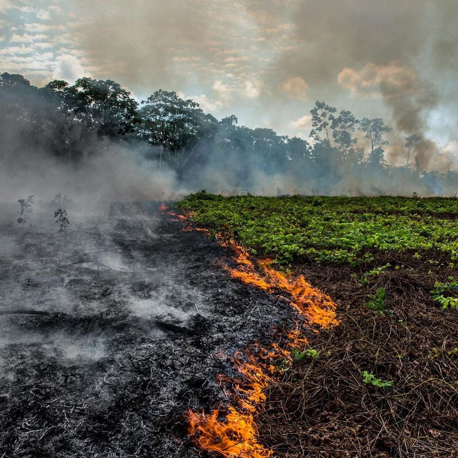 Les dernières images de la NASA depuis l’espace montrent à quel point les feux de forêt en Amazonie sont dévastateurs