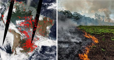 Les dernières images de la NASA depuis l’espace montrent à quel point les feux de forêt en Amazonie sont dévastateurs